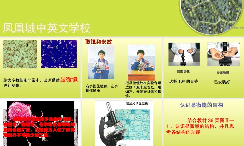 七年级生物第二单元 第一章 第一节 练习使用显微镜 课件