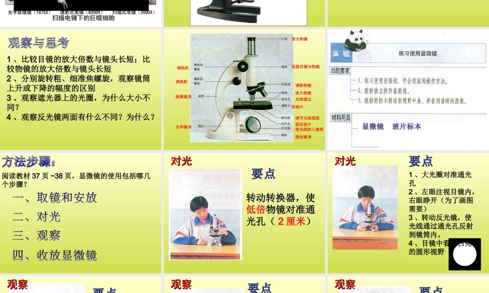 七年级生物第二单元 第一章 第一节 练习使用显微镜 课件