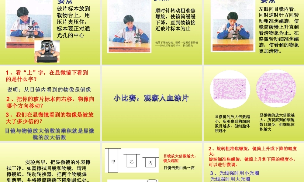 七年级生物第二单元 第一章 第一节 练习使用显微镜 课件