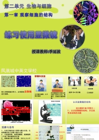七年级生物第二单元 第一章 第一节 练习使用显微镜 课件
