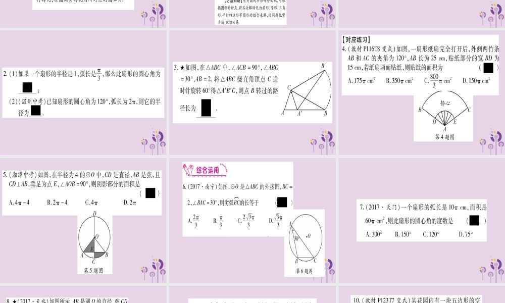 九年级数学上册 第二十四章 圆 244 弧长及扇形的面积 第1课时 作业课件 (新版)新人教版 课件