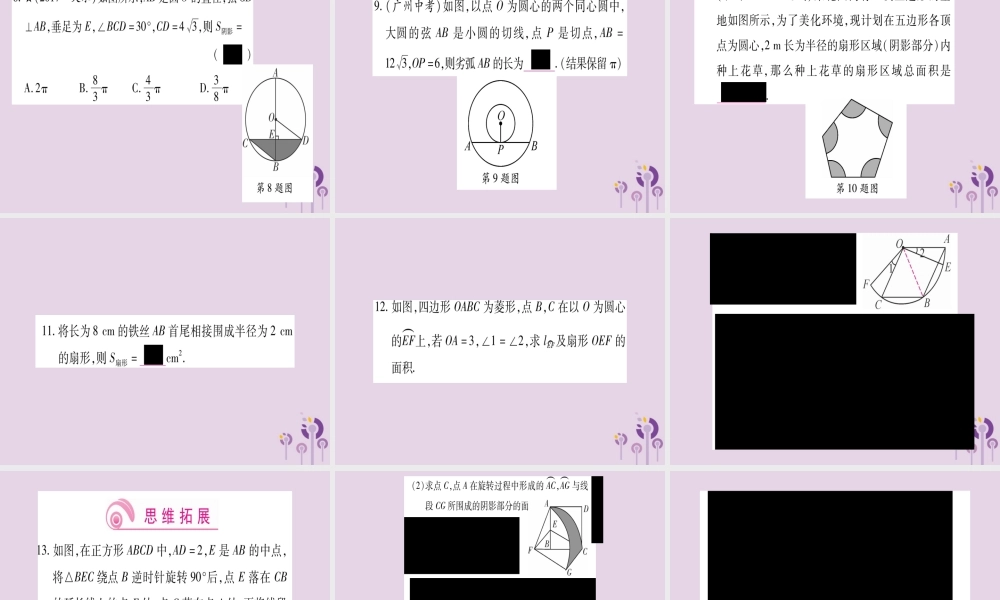 九年级数学上册 第二十四章 圆 244 弧长及扇形的面积 第1课时 作业课件 (新版)新人教版 课件