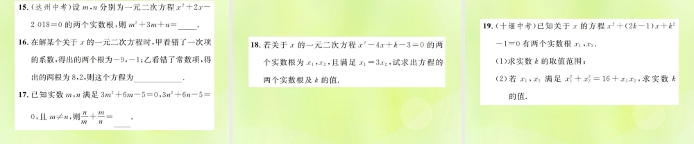 九年级数学上册 第二十一章 一元二次方程 212 解一元二次方程 2124 一元二次方程的根与系数的关系课件 (新版)新人教版 课件