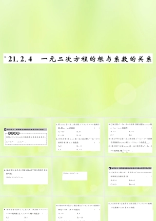 九年级数学上册 第二十一章 一元二次方程 212 解一元二次方程 2124 一元二次方程的根与系数的关系课件 (新版)新人教版 课件
