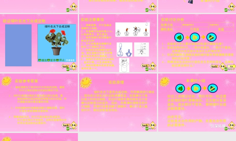 七年级生物 验证绿叶在光下合成淀粉课件 人教新课标版 课件