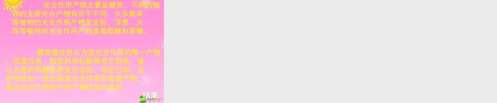 七年级生物 验证绿叶在光下合成淀粉课件 人教新课标版 课件