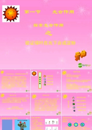 七年级生物 验证绿叶在光下合成淀粉课件 人教新课标版 课件