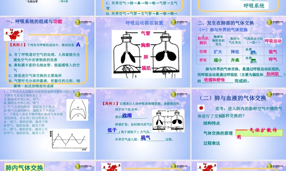 八年级生物上册 第三章 人体的呼吸课件 鲁科版 课件