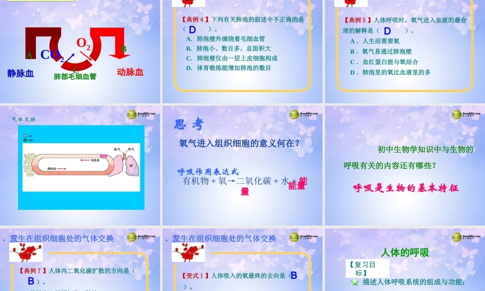 八年级生物上册 第三章 人体的呼吸课件 鲁科版 课件