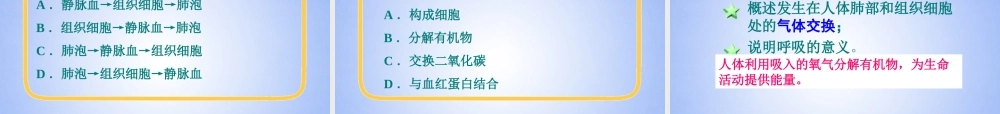 八年级生物上册 第三章 人体的呼吸课件 鲁科版 课件