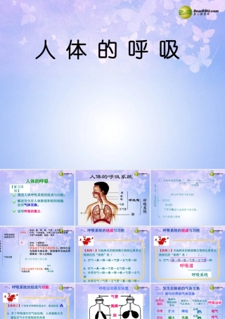 八年级生物上册 第三章 人体的呼吸课件 鲁科版 课件