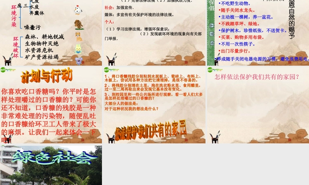 八年级政治下册 依法保护人类共有的家园课件 鲁教版 课件