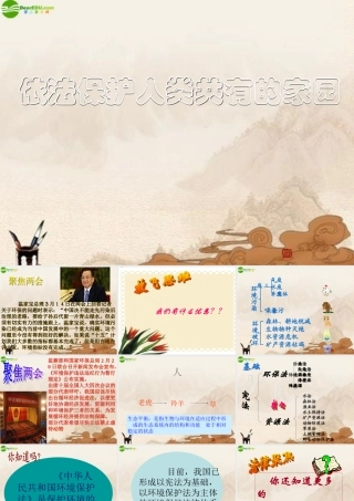 八年级政治下册 依法保护人类共有的家园课件 鲁教版 课件