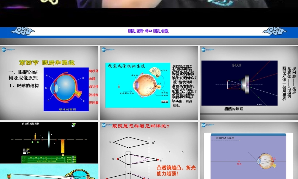 八年级物理上册 5.4 眼睛和眼镜课件7 (新版)新人教版 课件