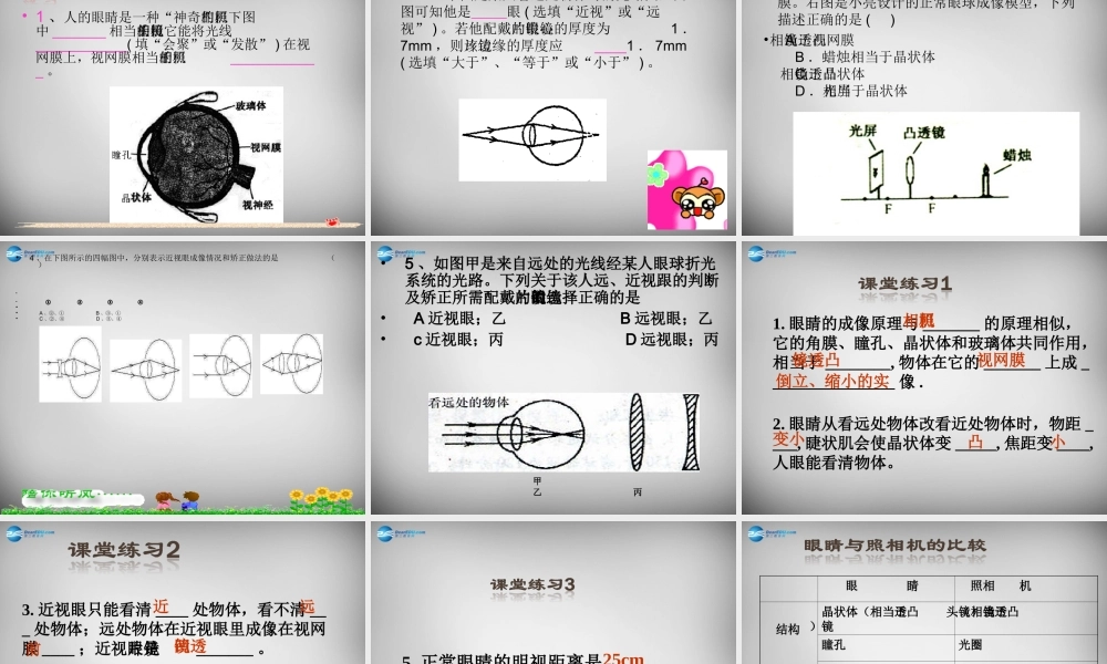 八年级物理上册 5.4 眼睛和眼镜课件7 (新版)新人教版 课件