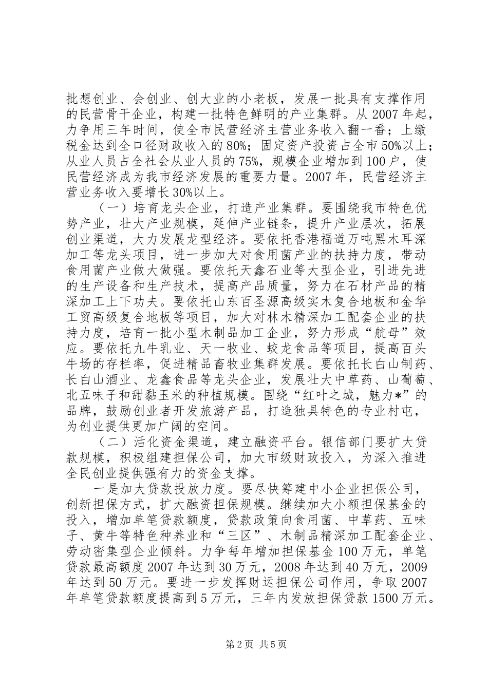 推进民营经济腾飞计划意见_第2页