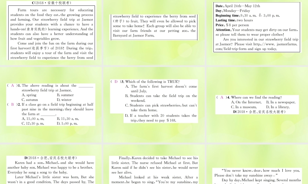 九年级英语全册 专题复习五 阅读理解习题课件 (新版)人教新目标版 课件