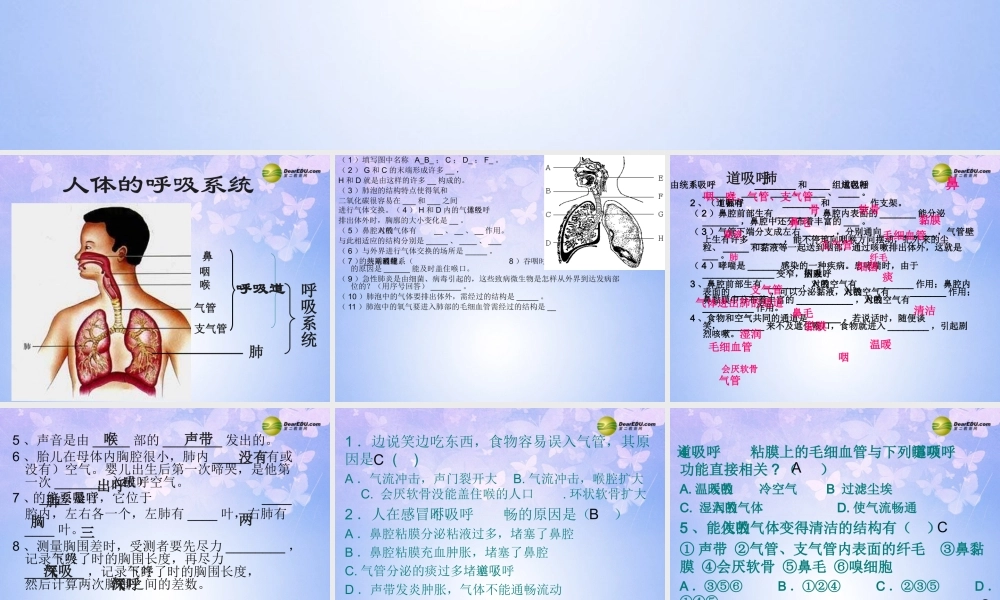 八年级生物上册 第三章 呼吸课件 鲁科版 课件