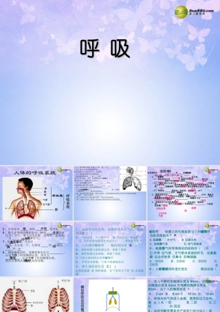 八年级生物上册 第三章 呼吸课件 鲁科版 课件