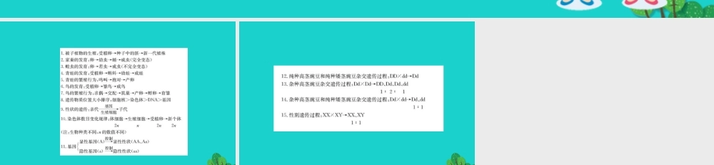 八年级生物下册 期末抢分必胜课 常考流程图汇总课件(新版)新人教版 课件