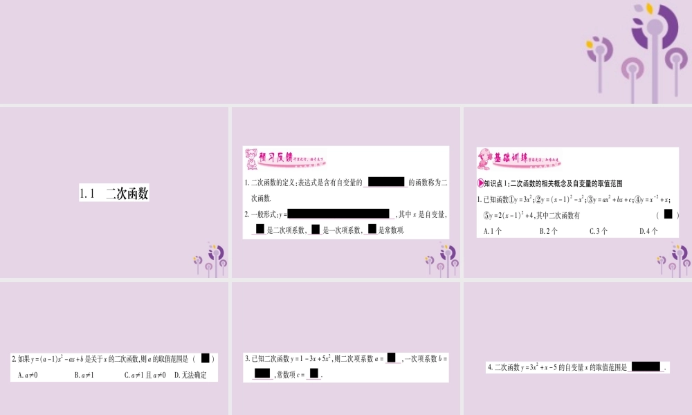 广西九年级数学下册 第1章 二次函数 1.1 二次函数作业课件 (新版)湘教版 课件
