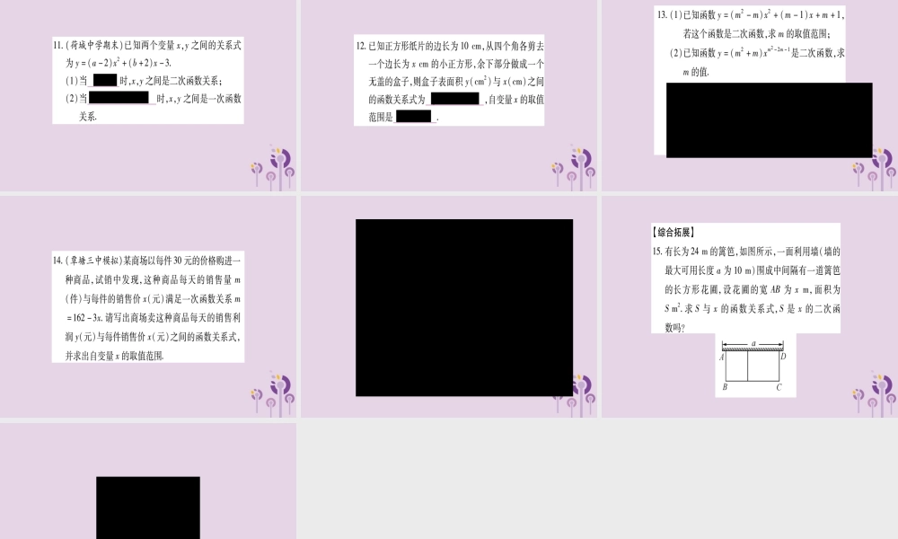 广西九年级数学下册 第1章 二次函数 1.1 二次函数作业课件 (新版)湘教版 课件