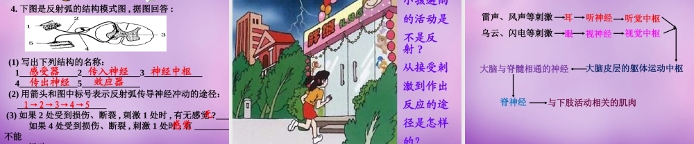 中学七年级生物下册 6.3 神经调节的基本方式课件 新人教版 课件