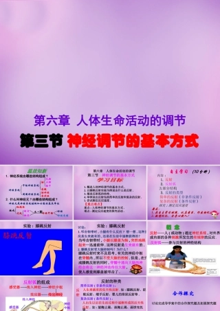 中学七年级生物下册 6.3 神经调节的基本方式课件 新人教版 课件
