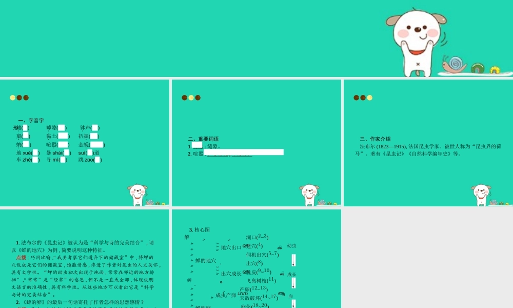 八年级语文上册 第五单元 19 蝉课件 新人教版 课件