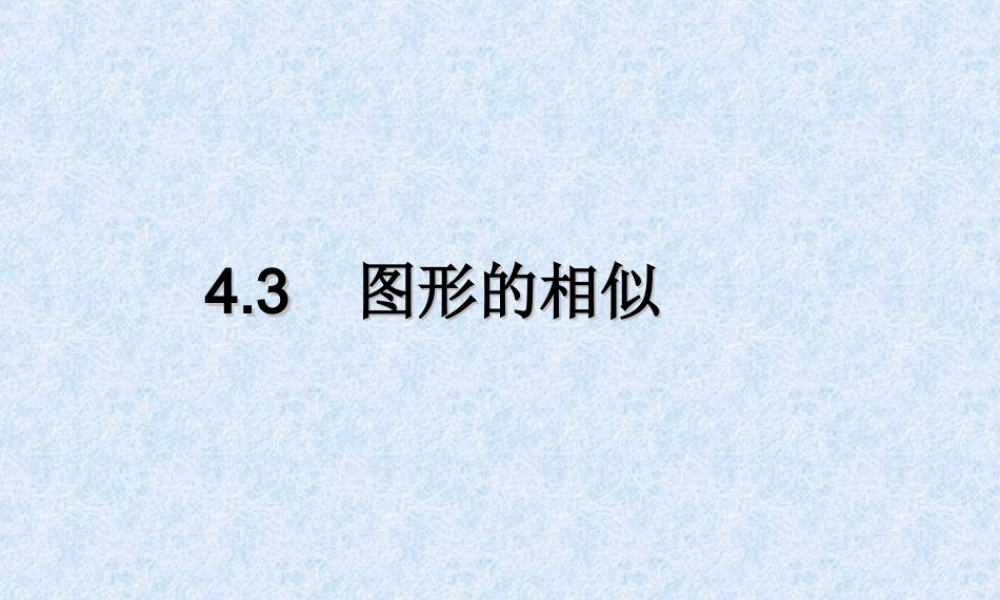 九年级数学中考复习-43图形的相似课件北师大版 课件