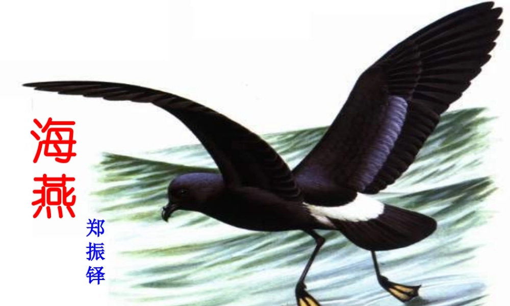 中学七年级语文下册 2 海燕课件 语文版 课件