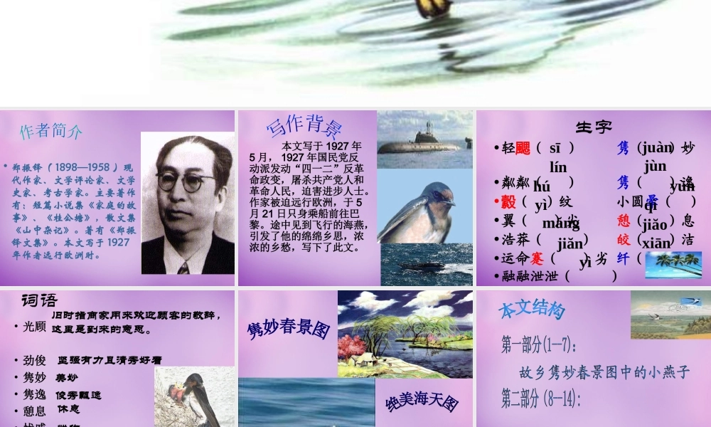 中学七年级语文下册 2 海燕课件 语文版 课件