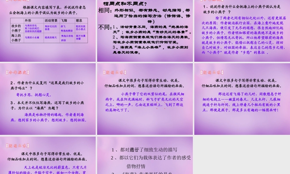 中学七年级语文下册 2 海燕课件 语文版 课件