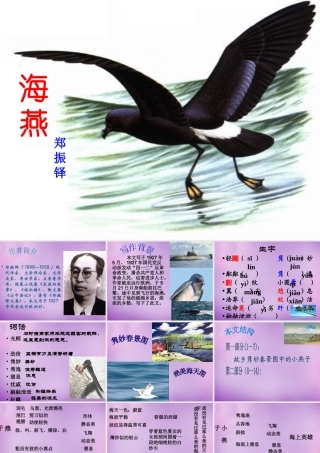 中学七年级语文下册 2 海燕课件 语文版 课件