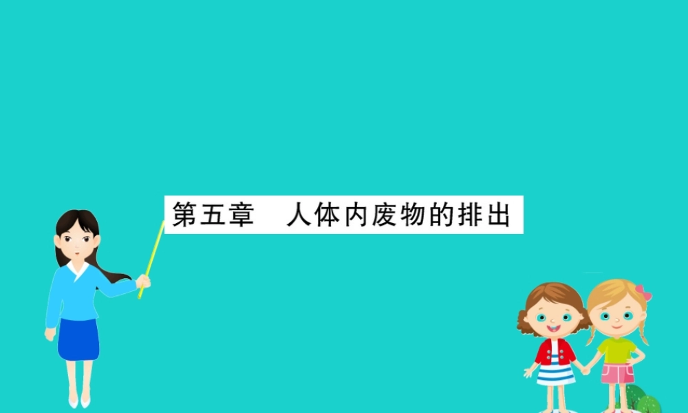 七年级生物下册 期末抢分必胜课 第一部分 主干知识速记 第四单元 第五章 人体内废物的排出课件(新版)新人教版 课件