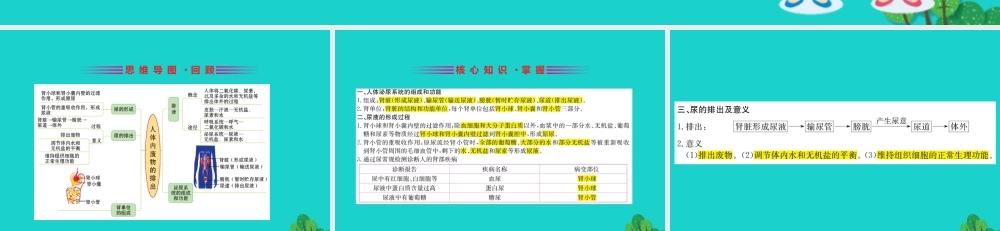 七年级生物下册 期末抢分必胜课 第一部分 主干知识速记 第四单元 第五章 人体内废物的排出课件(新版)新人教版 课件