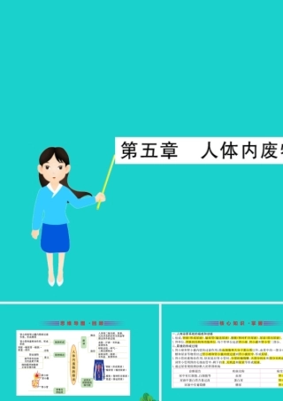 七年级生物下册 期末抢分必胜课 第一部分 主干知识速记 第四单元 第五章 人体内废物的排出课件(新版)新人教版 课件