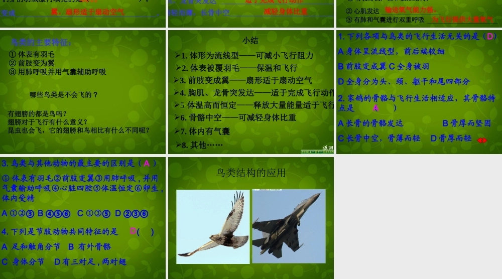 八年级生物上册 5.1.3 空中飞行的动物课件1 新人教版 课件