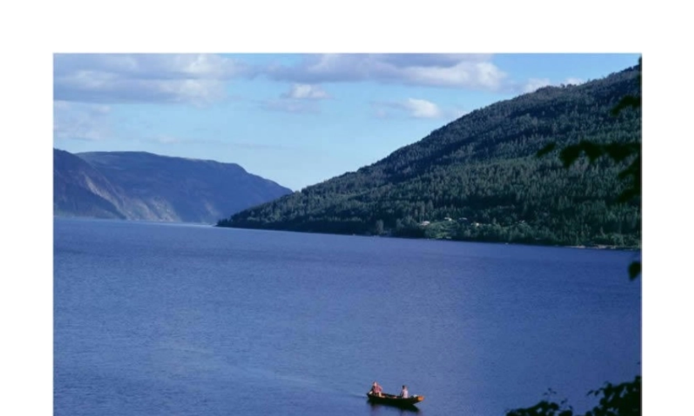 八年级英语 Unit4 课件 (ppt) 课件