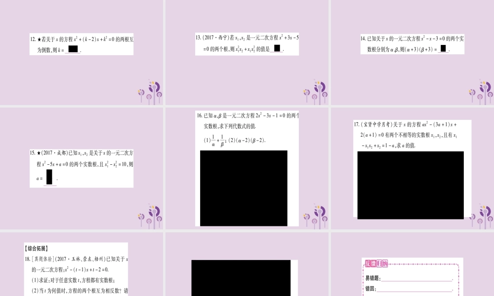 九年级数学上册 第2章 一元二次方程 24 一元二次方程根与系数的关系作业课件 (新版)湘教版 课件