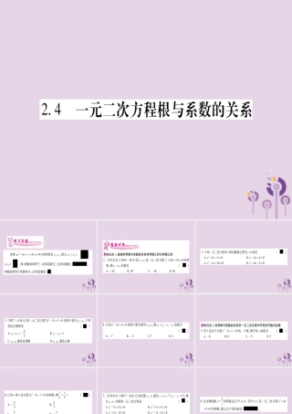 九年级数学上册 第2章 一元二次方程 24 一元二次方程根与系数的关系作业课件 (新版)湘教版 课件