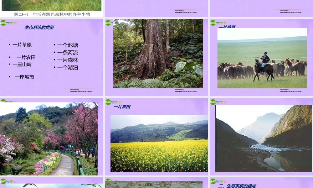 八年级生物下册 第二十三章生态系统及其稳定性课件 北师大版 课件