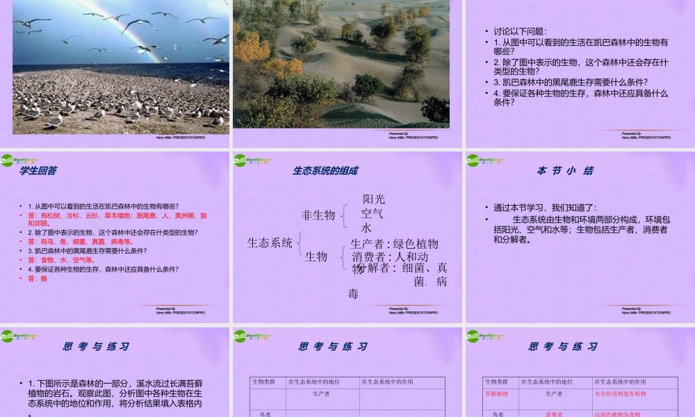 八年级生物下册 第二十三章生态系统及其稳定性课件 北师大版 课件