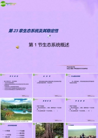 八年级生物下册 第二十三章生态系统及其稳定性课件 北师大版 课件