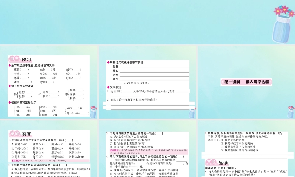 九年级语文下册 第一单元 1(祖国啊，我亲爱的祖国)课堂过关演练课件 新人教版 课件