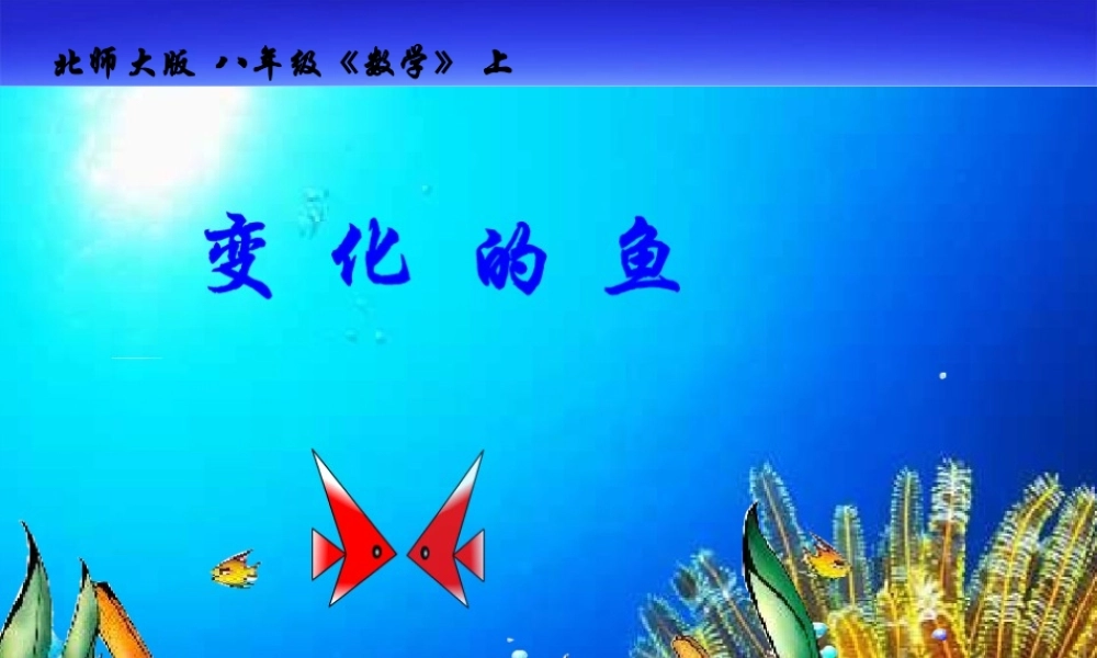 八年级数学上册变化的鱼课件1 北师大版 课件