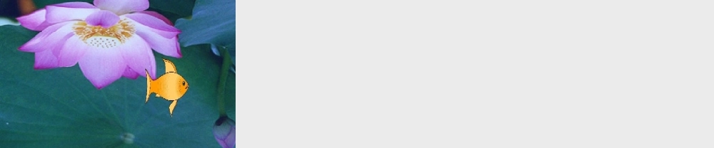 八年级数学上册变化的鱼课件1 北师大版 课件