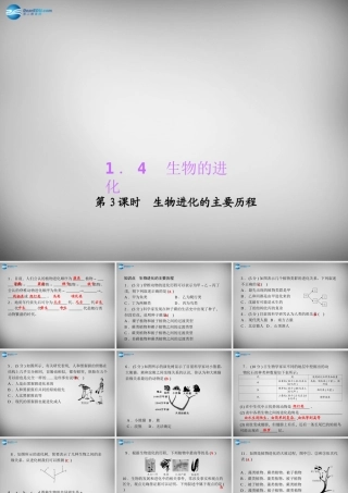 九年级科学下册 143 生物进化的主要历程习题课件 浙教版 课件