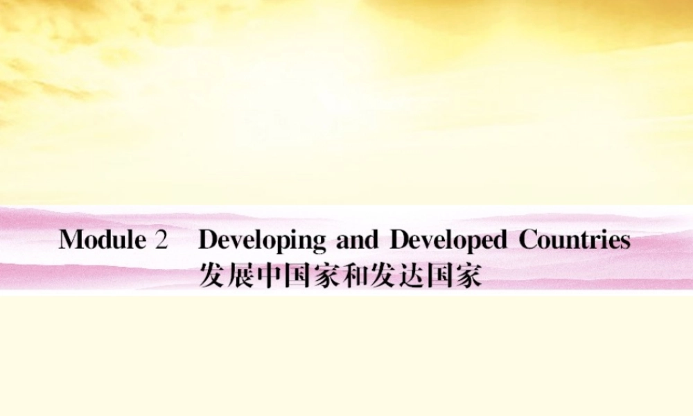 山东省高考英语总复习 Module 2　Developing and Developed Countries课件 外研版必修3 课件