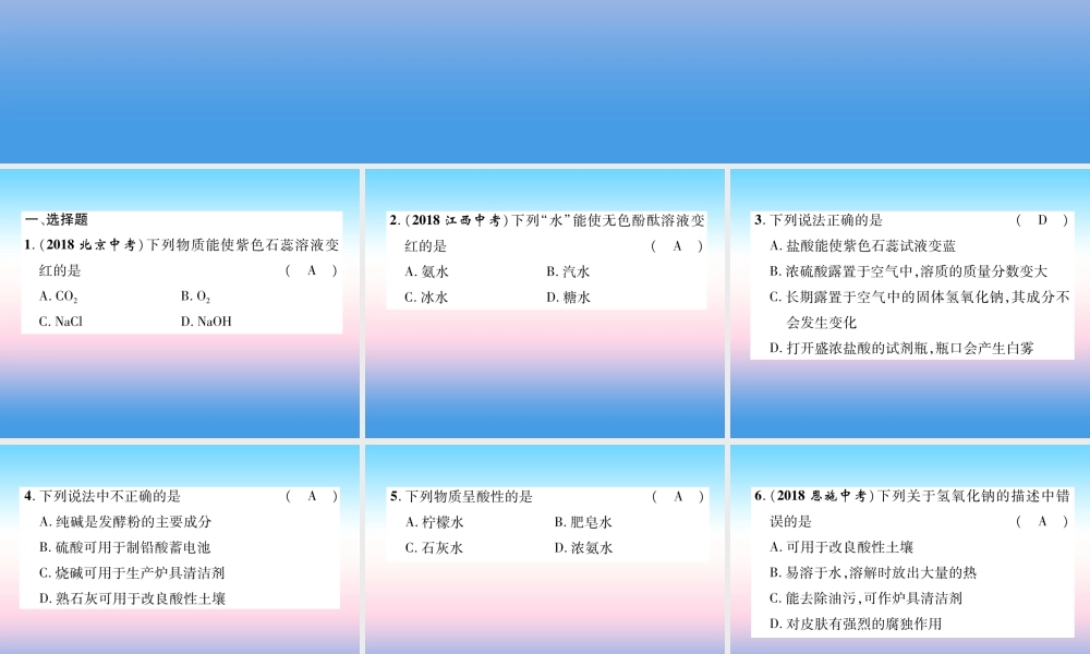 中考化学复习 第1编 教材知识梳理篇 第10单元 酸和碱 第1讲 常见的酸和碱(精练)课件